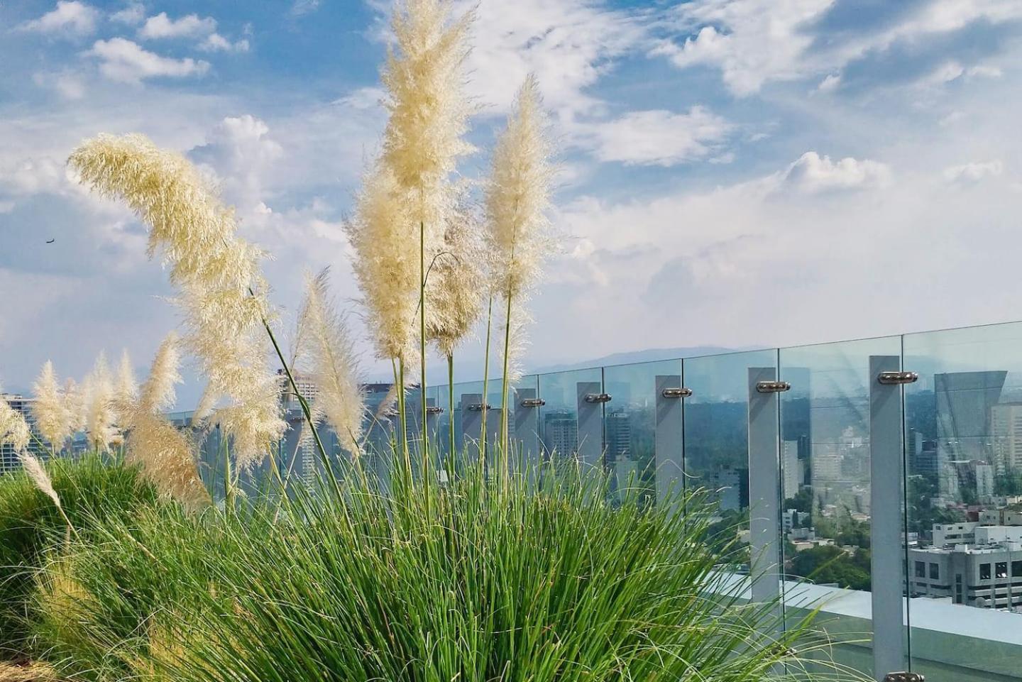 Luxurious High-Rise Hs Wifi, Amazing City Views Мехико Экстерьер фото